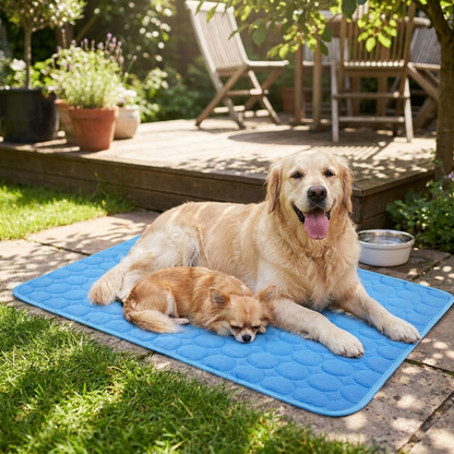 Pet Ice Silk Cooling Mat